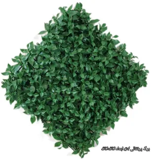IMG_7232.JPG گرین وال برگ پرتقالی A 50*50 - Image 1